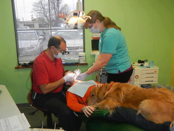 This Dentist Brings His Dog In To Calm Nervous Children
