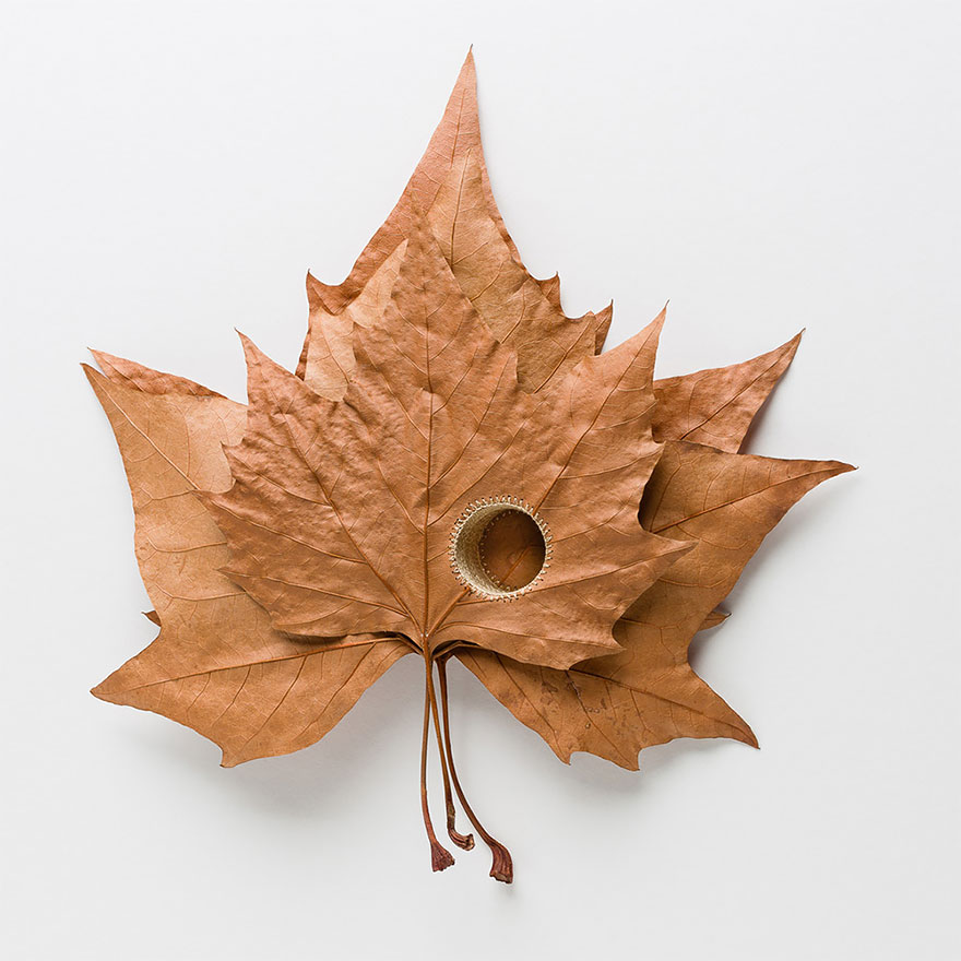 crocheted-leaf-art-susanna-bauer-18
