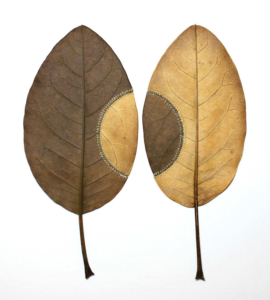 crocheted-leaf-art-susanna-bauer-7