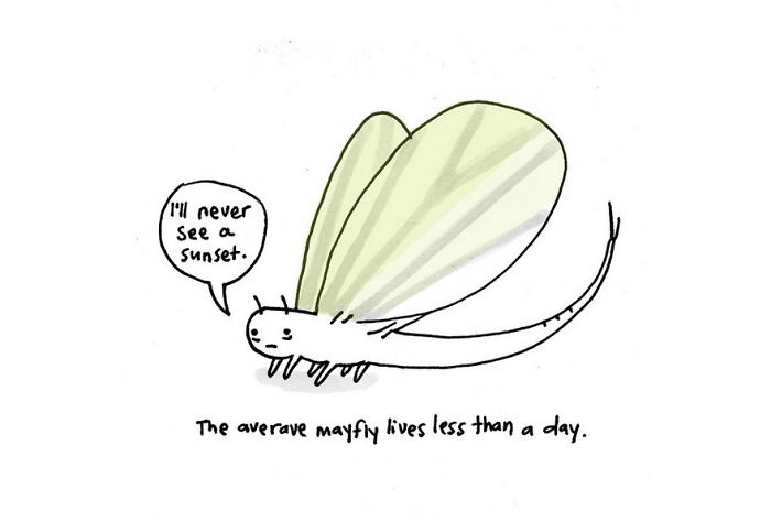 Sad Animal | Bored Panda