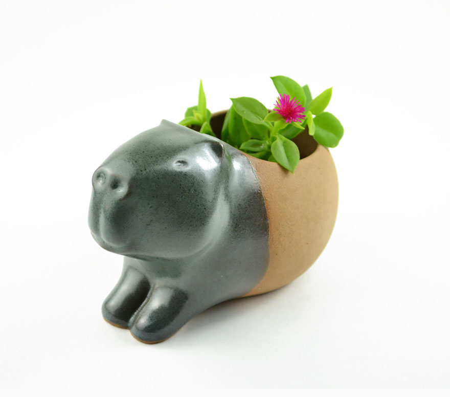 Adorable Little Animal Planters That Will Protect Your Plants