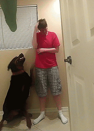 Dog Saves Owner With Asperger's Syndrome From Violent Meltdown
