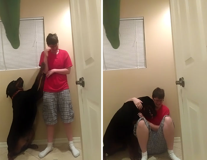 Dog Saves Owner With Asperger's Syndrome From Violent Meltdown