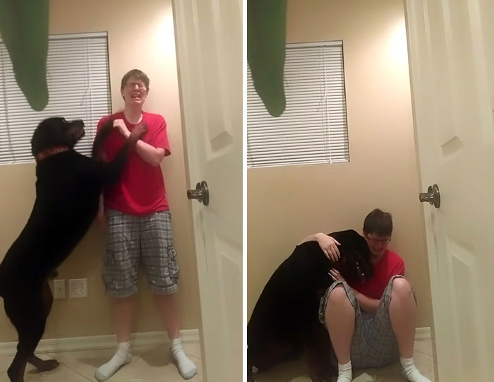 Dog Saves Owner With Asperger’s Syndrome From Violent Meltdown
