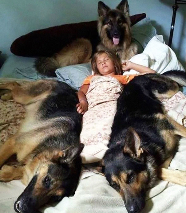 Girl And Her Dogs