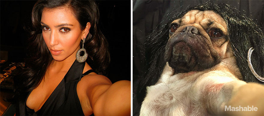 Pug Recreates Sexiest Kim Kardashian Selfies, Internet Can't Tell Who's Who