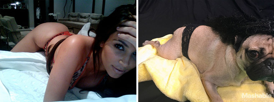 Pug Recreates Sexiest Kim Kardashian Selfies, Internet Can't Tell Who's Who