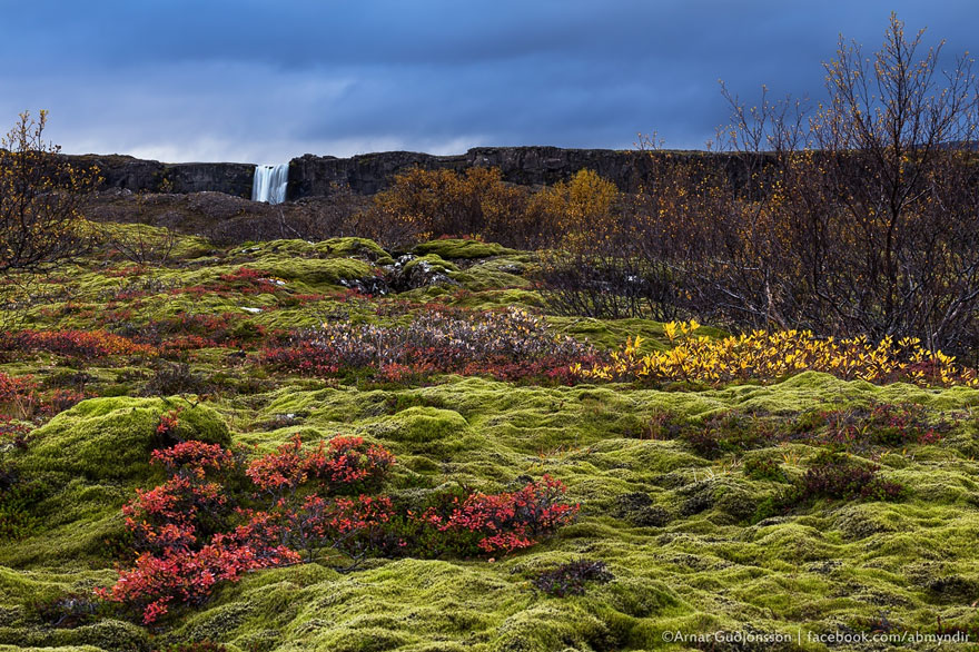 North Of Westeros: Thingvellir, Iceland