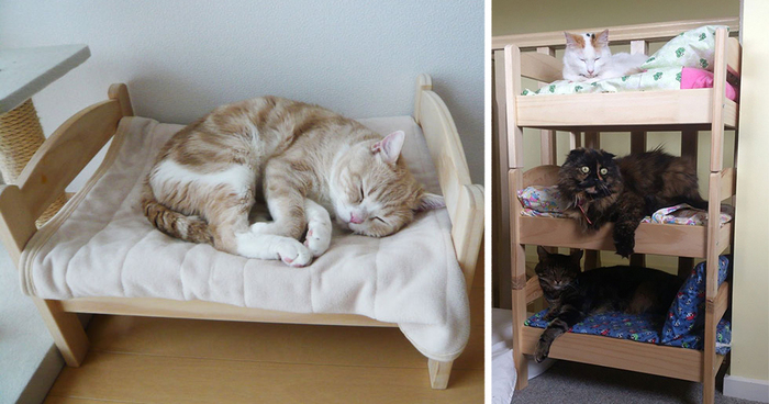 Japanese Cat Owners Turn IKEA Doll Beds 