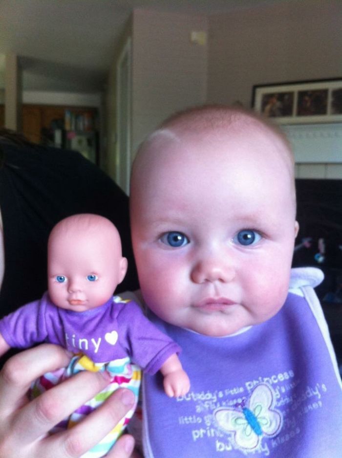 Amelia's Twin!