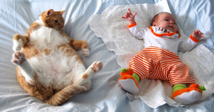 131 Adorable Photos Proving That Your Kids Need A Cat | Bored Panda