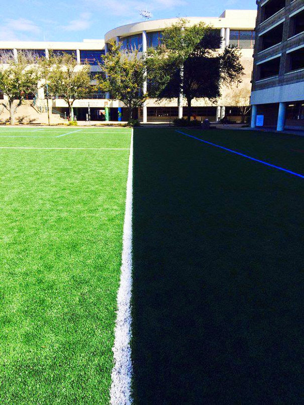 The Way This Shadow Perfectly Matches The Sideline On A Turf Field