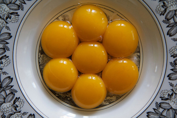 These Lovely Egg Yolks