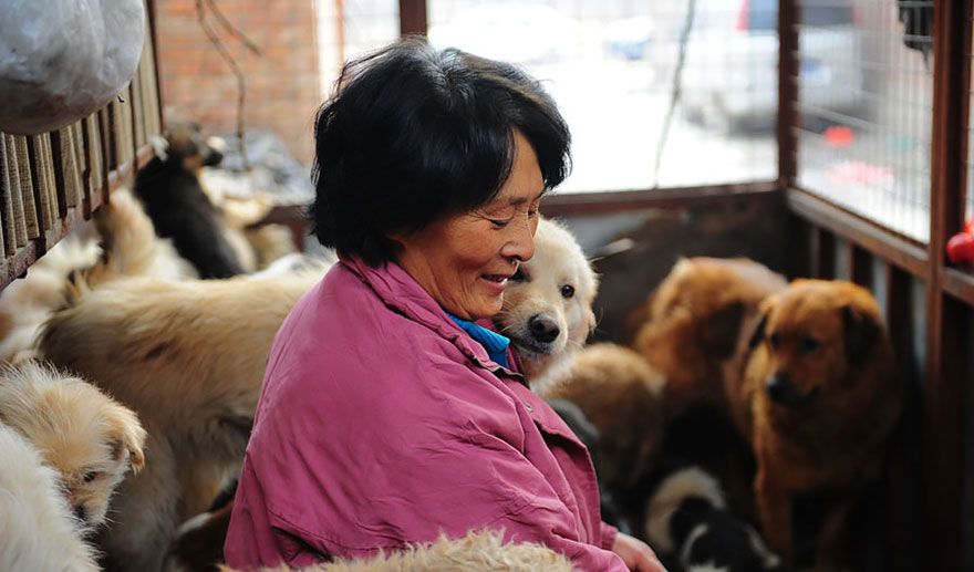 Chinese Woman Travels 1,500 Miles And Pays $1,100 To Save 100 Dogs From Chinese Dog-Eating Festival