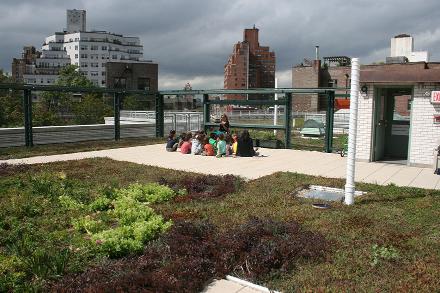 Solar Roofs With Gardens Might Become Part Of NYC School Curriculum