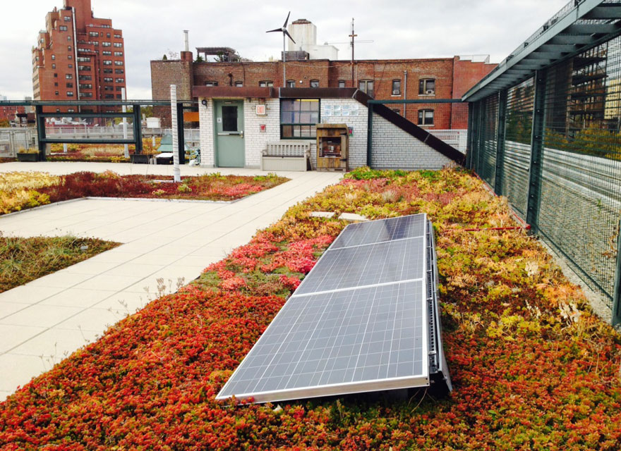 solar-panel-roof-green-schools-nyc-7