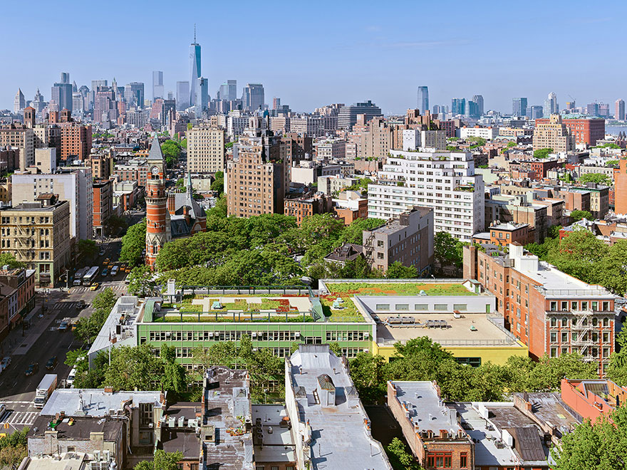 Solar Roofs With Gardens Might Become Part Of NYC School Curriculum