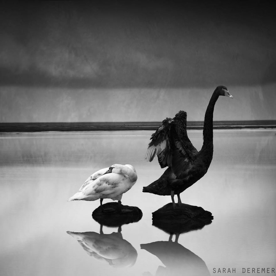 surreal-black-and-white-scenes-sarah-deremer-1