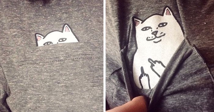 Pocket Cat T-Shirts With A Hidden 