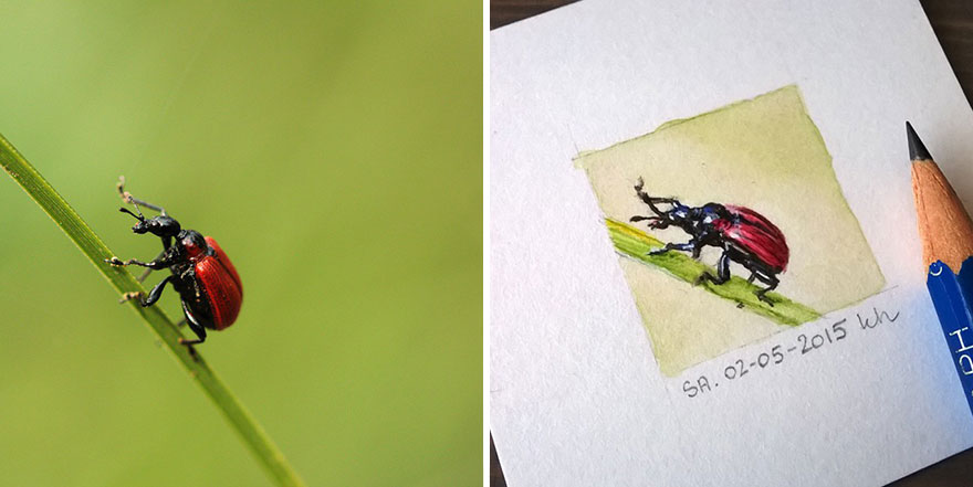 tiny-spring-illustrations-kasia-haldas-7
