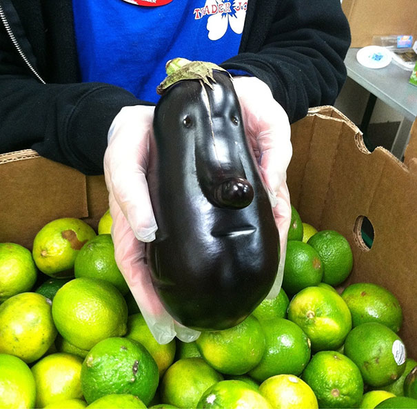 A Long-faced Eggplant