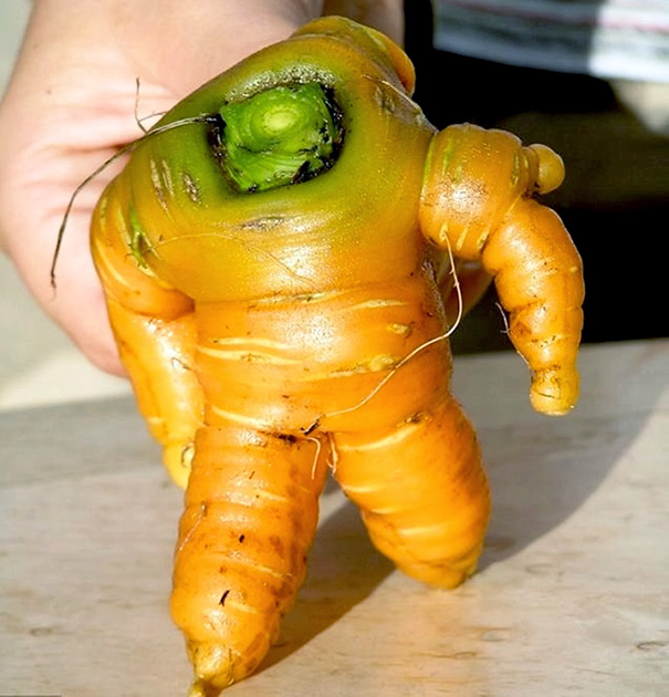 Toy Story’s Buzz Lightyear As A Carrot