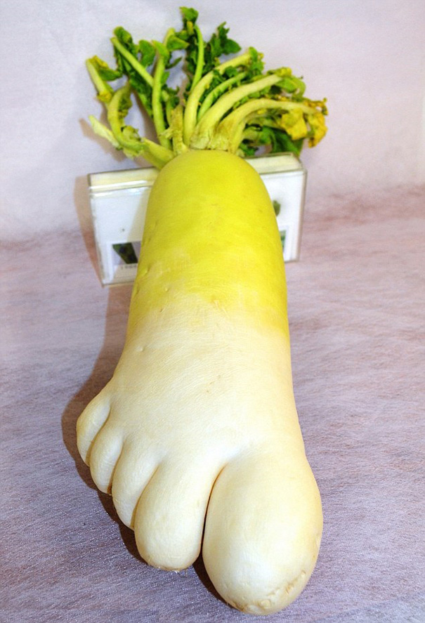 Foot Shaped Radish With Five Toes Goes On Display