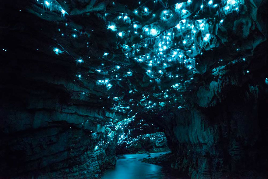 Long Exposure Photos Of Glowworms Turn New Zealand Cave Into Starry Night