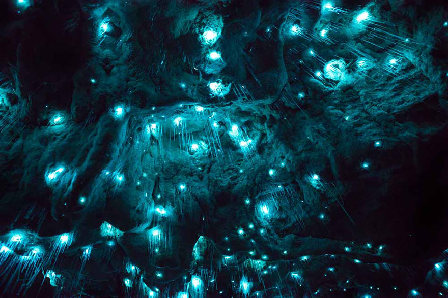 Long Exposure Photos Of Glowworms Turn New Zealand Cave Into Starry Night