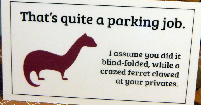 6 x "You've Parked Like a D**k" Novelty Joke Parking Ticket Stickers 