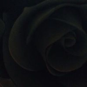 datdeptraisomot avatar