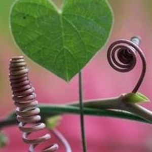 LouEzza_Bradley avatar