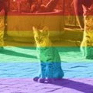 Altie_Metcalf avatar