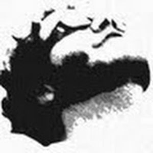 alexandreoliveira avatar