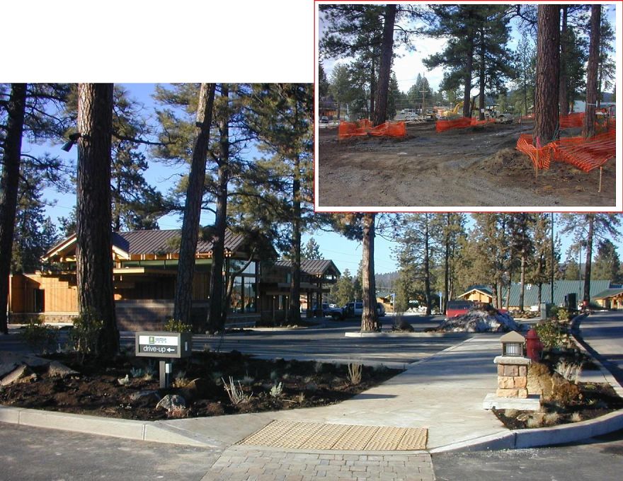 Century Park Shopping Center Bend, Oregon By Kjd Architecture Pc. Over 100 Trees Saved On Site.