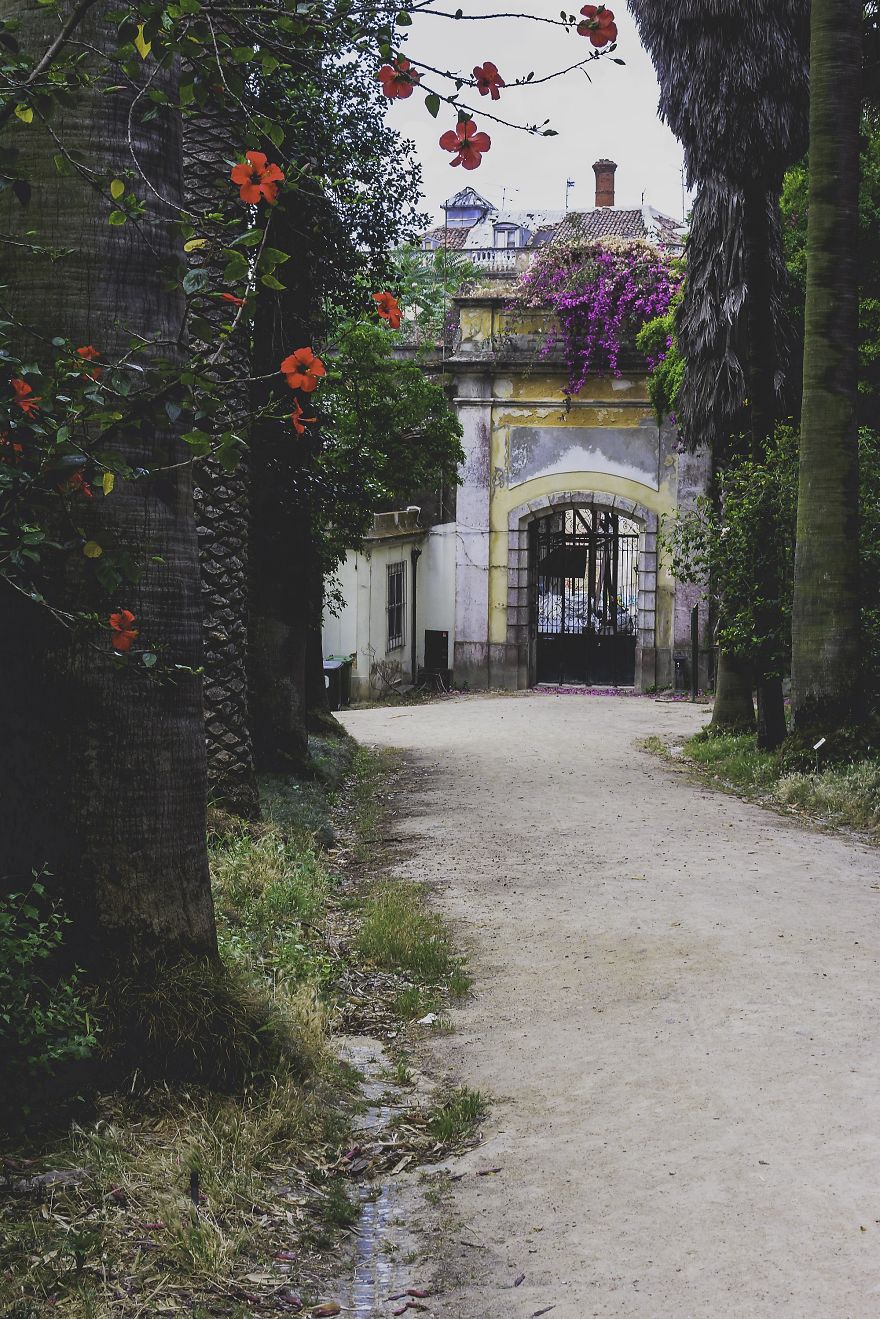 Jardim Botânico, Lisbon