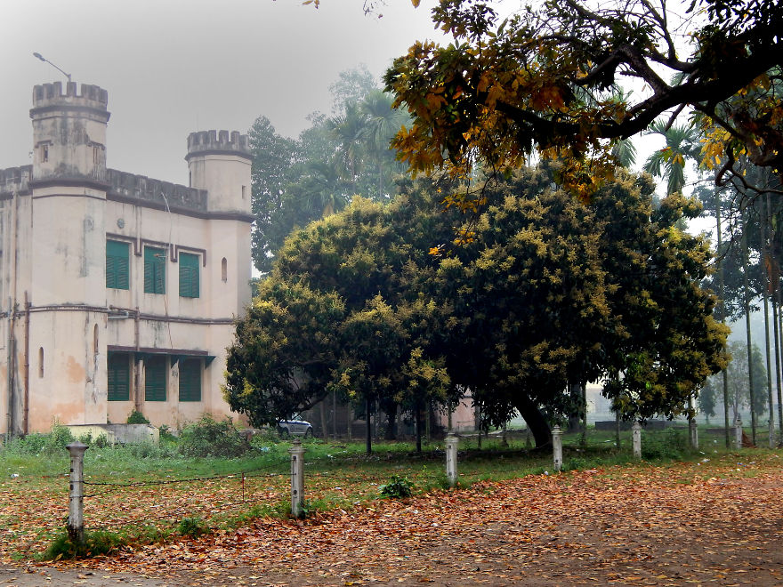 One Misty Morning At Indian Institute Of Engineering Science & Technology-shibpur, Howrah.
