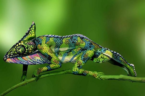 Extraordinary Camouflage Bodypainting By Johannes Stötter