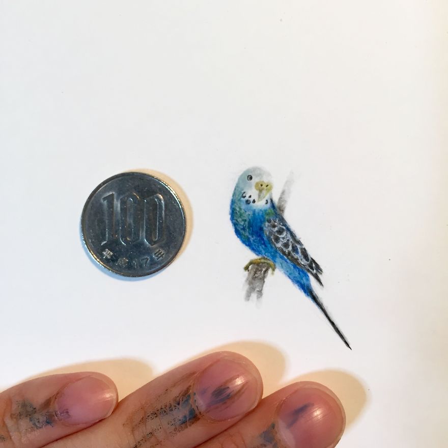 Meticulous Mini-drawings As Small As A Coin