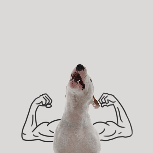 My Wife Left Me With Nothing But A Dog, So I Started This Fun Photo Series