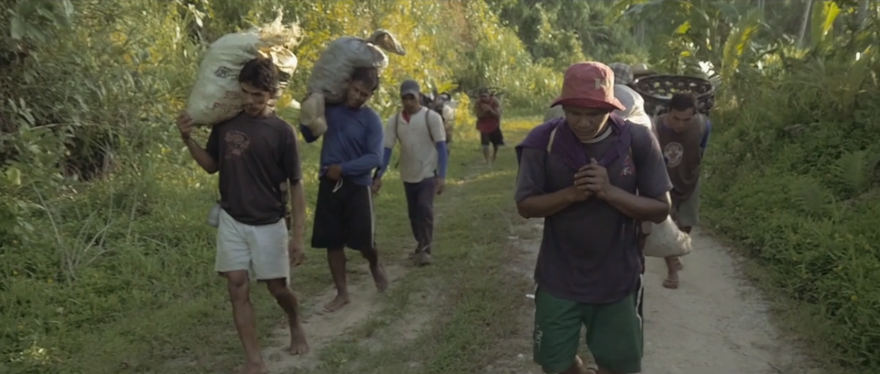 Kinabuhi: Inspiring Film Follows Filipino Coconut Farmers After Typhoon Hagupit