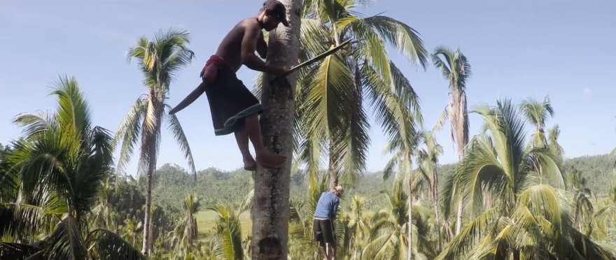Kinabuhi: Inspiring Film Follows Filipino Coconut Farmers After Typhoon Hagupit