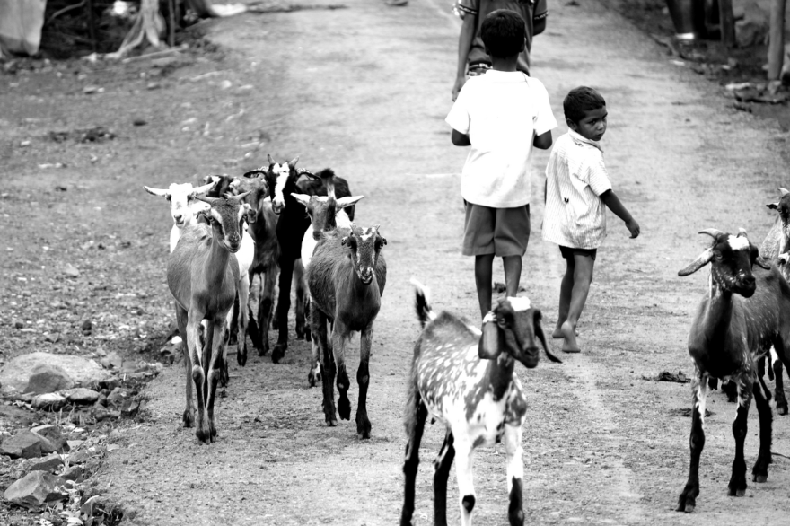 Life In A Village In The Interiors Of Maharashtra (india)