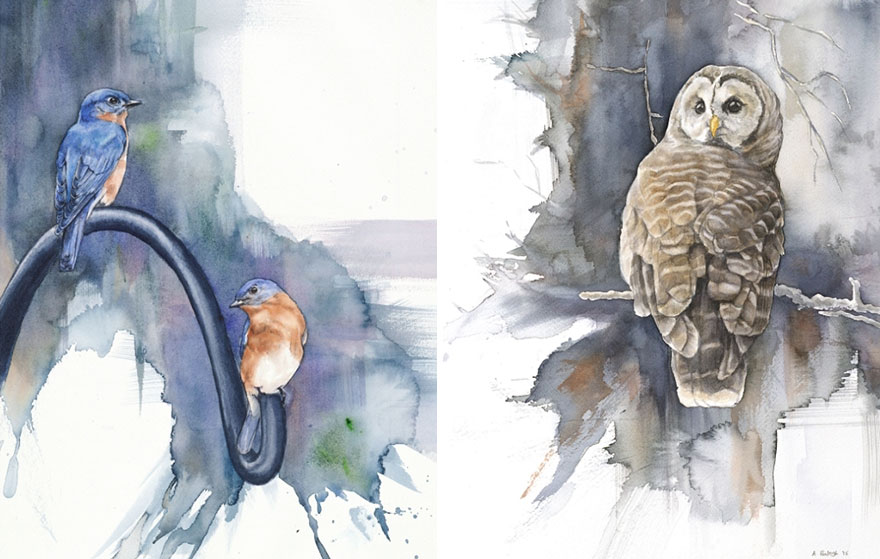 When I'm Not Working As A Biologist, I Paint Watercolor Birds