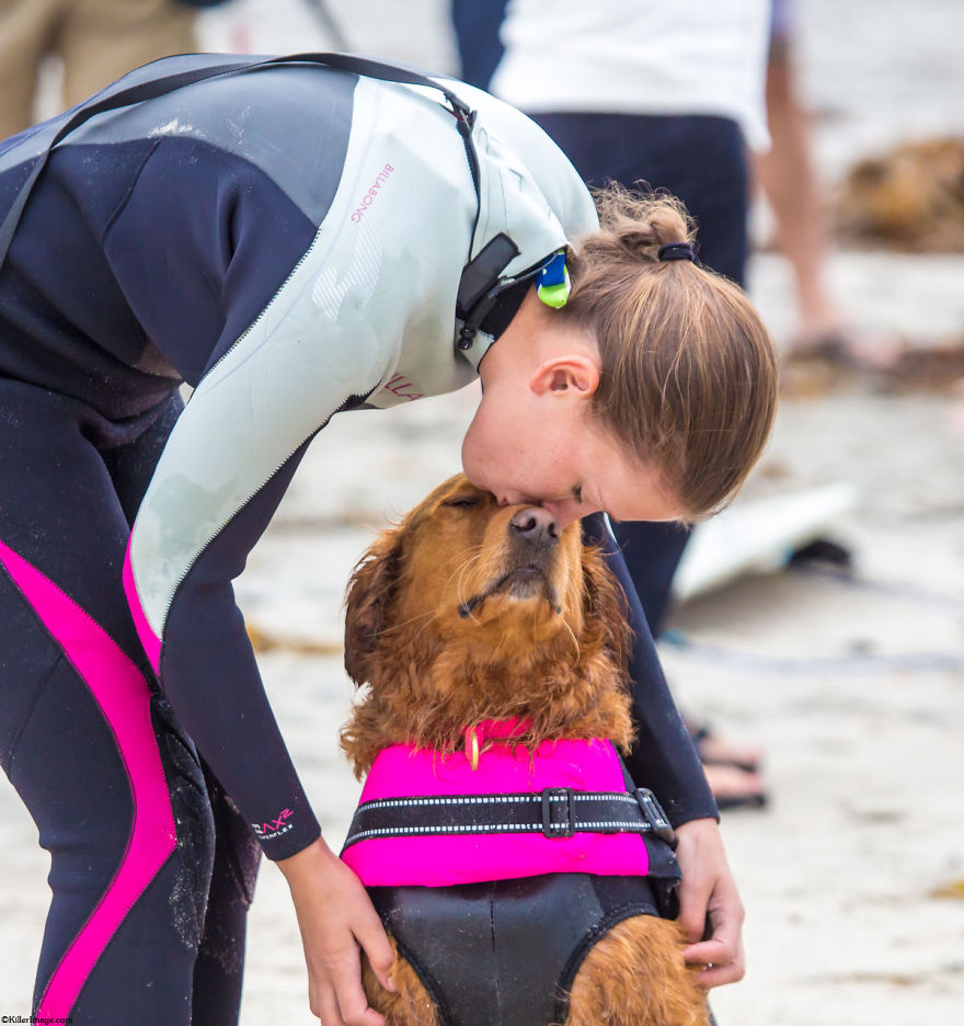 My Therapy Dog Ricochet Surfs With People With Disabilities, Helping Them Heal