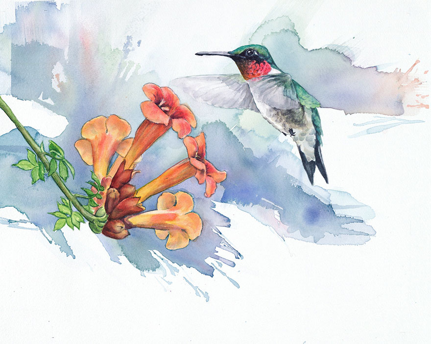 When I'm Not Working As A Biologist, I Paint Watercolor Birds