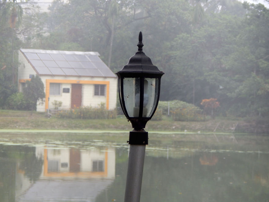 One Misty Morning At Indian Institute Of Engineering Science & Technology-shibpur, Howrah.