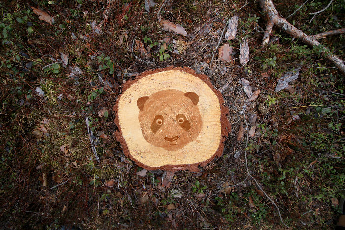Deforestation Faces: I Show That We Kill Animals When We Destroy Forests