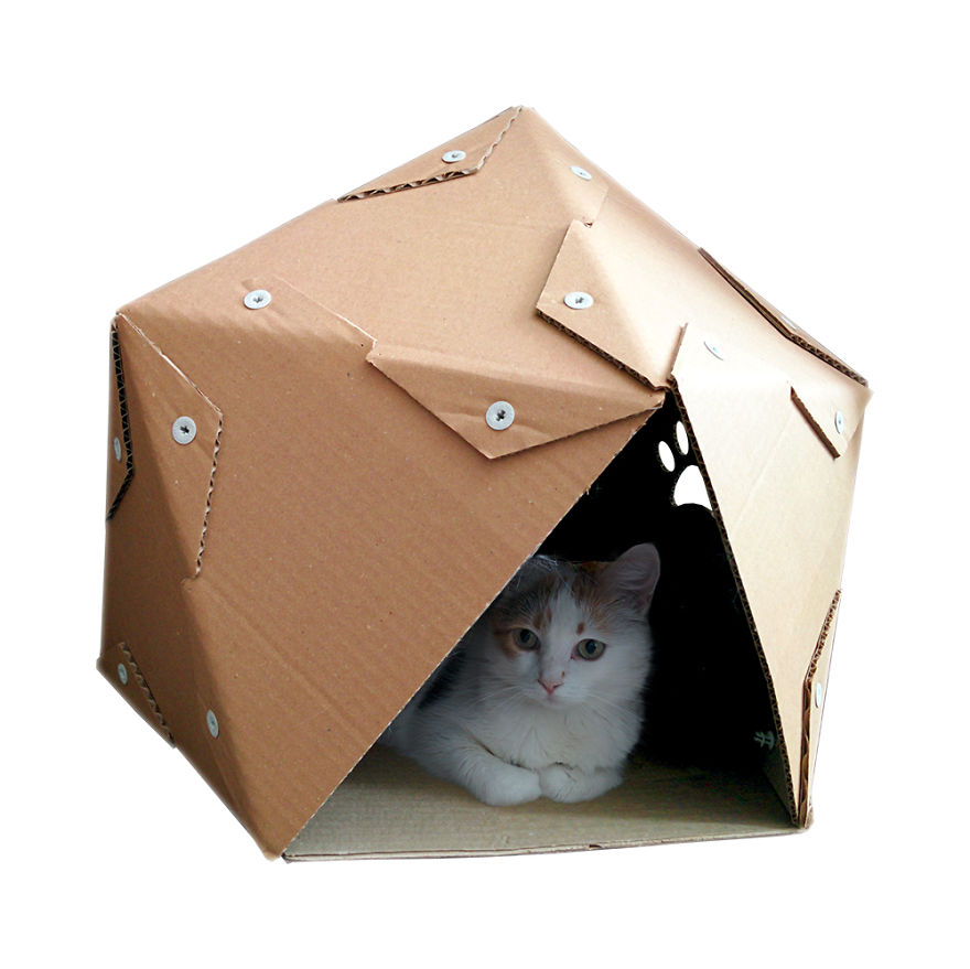 Creative Cat Houses Made From Cardboard