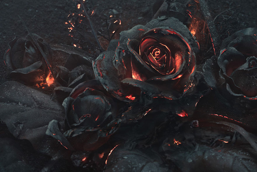 We Created A Bouquet Of Burning Roses